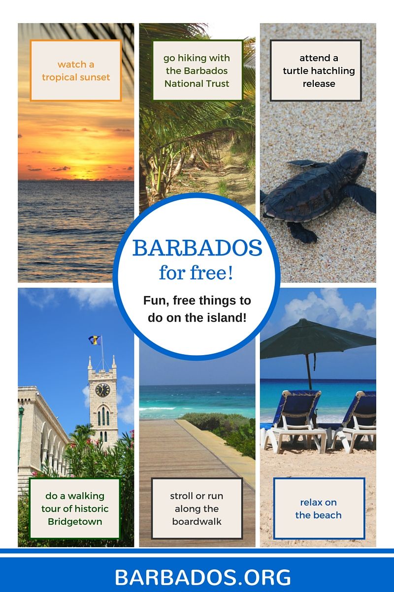 Fun, free activities in Barbados