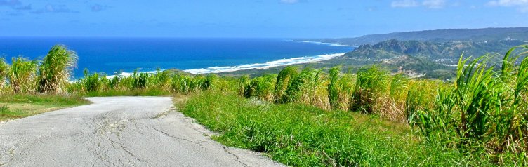 View at Cherry Tree Hill, Barbados