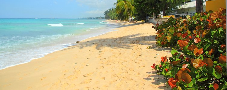 The beach at Fitts Village, Barbados
